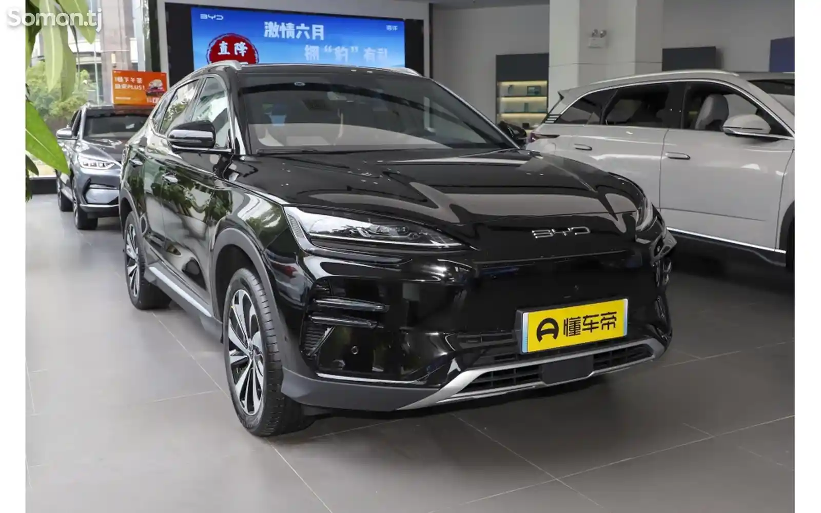 BYD Song Plus Flagship, 2024-4