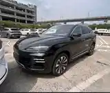 BYD Song Plus Flagship, 2024-8