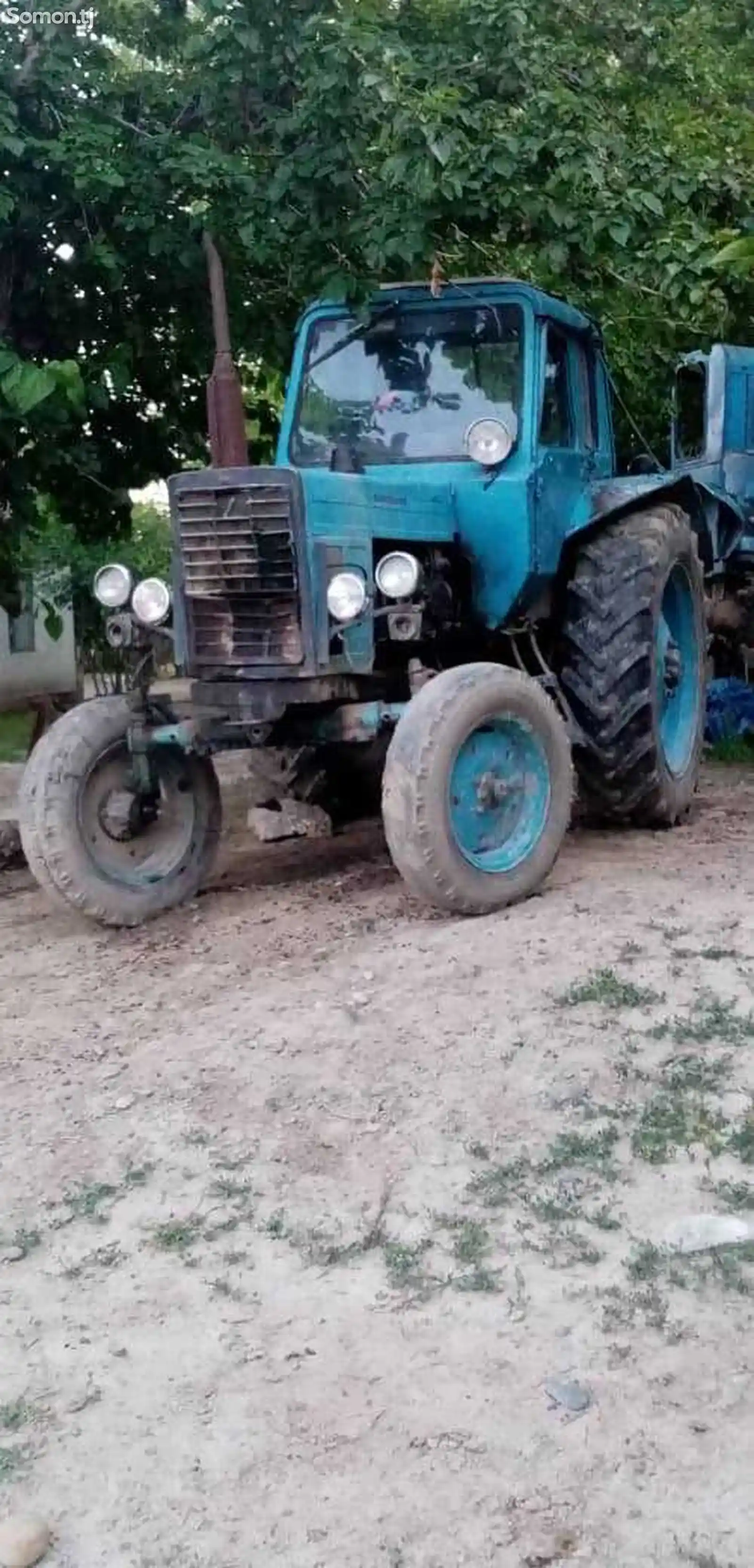 Трактор МТЗ 80-1
