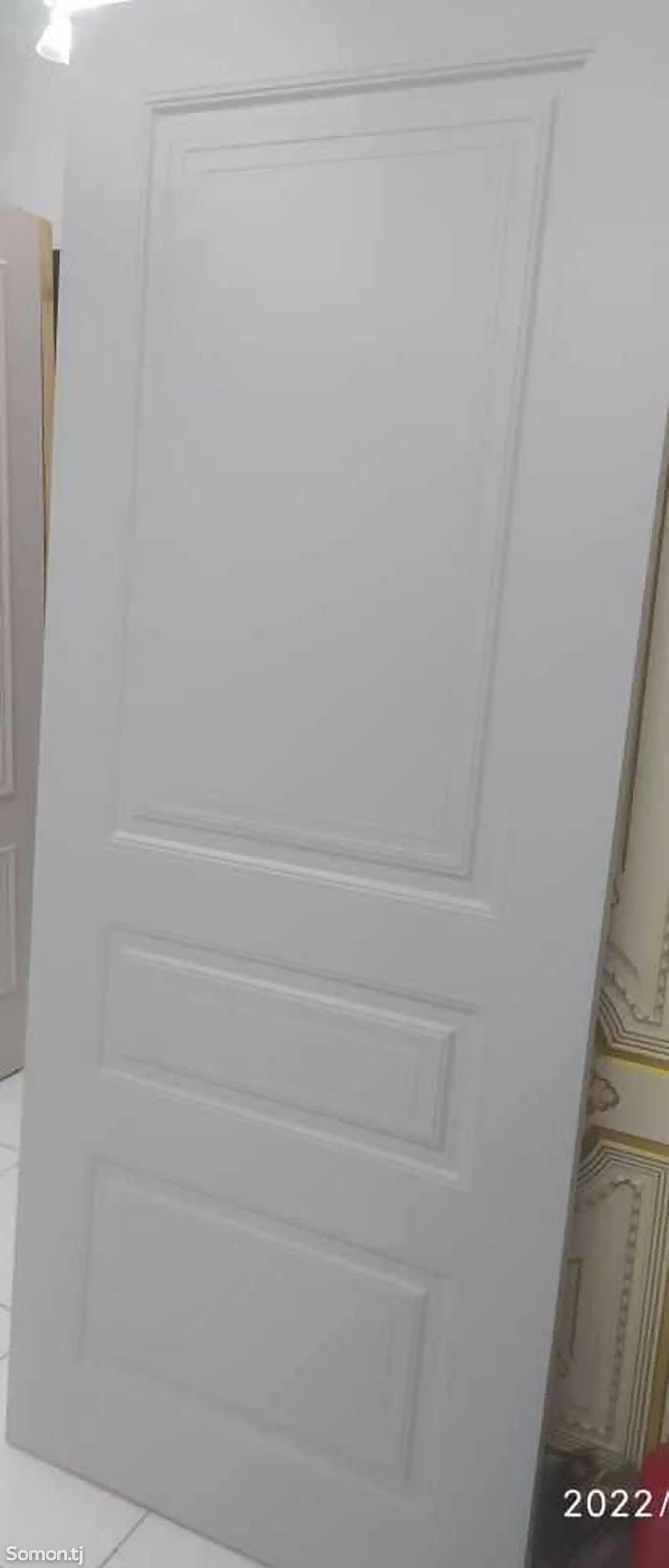 Дверь Эмаль ВСД1009