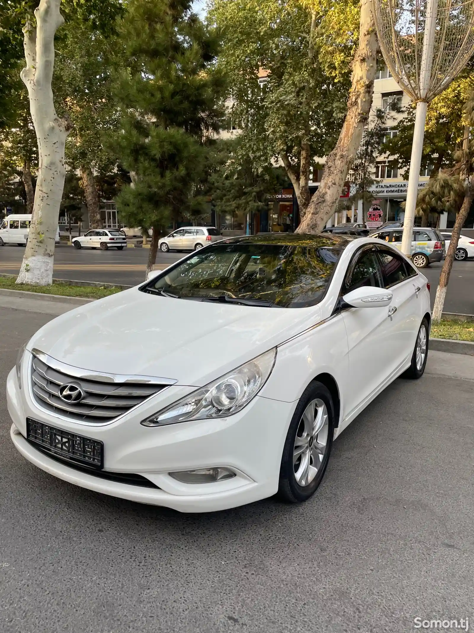 Hyundai Sonata, 2010-1