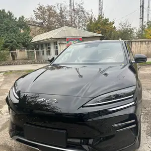 BYD Song Plus Flagship, 2024