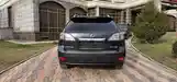 Lexus RX series, 2010-7