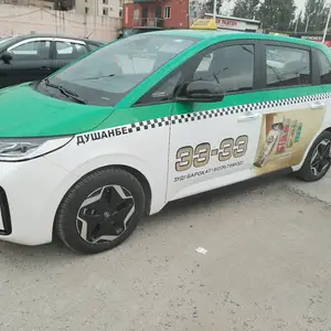 BYD Другие модели, 2022