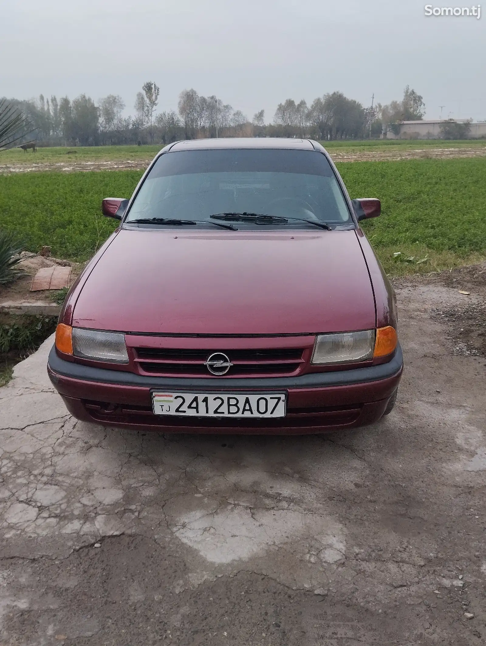 Opel Astra F, 1992-1