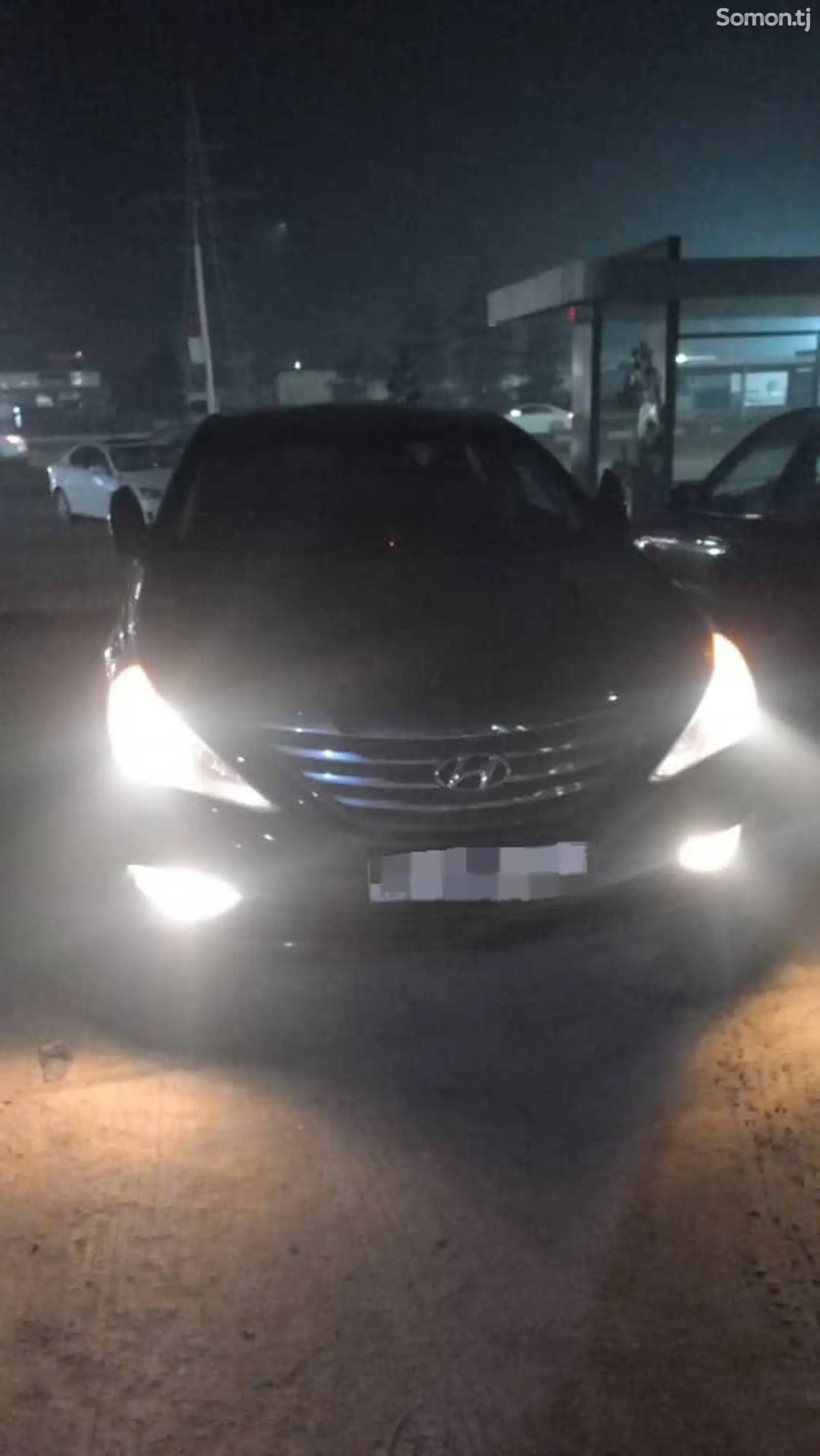 Hyundai Sonata, 2010-1