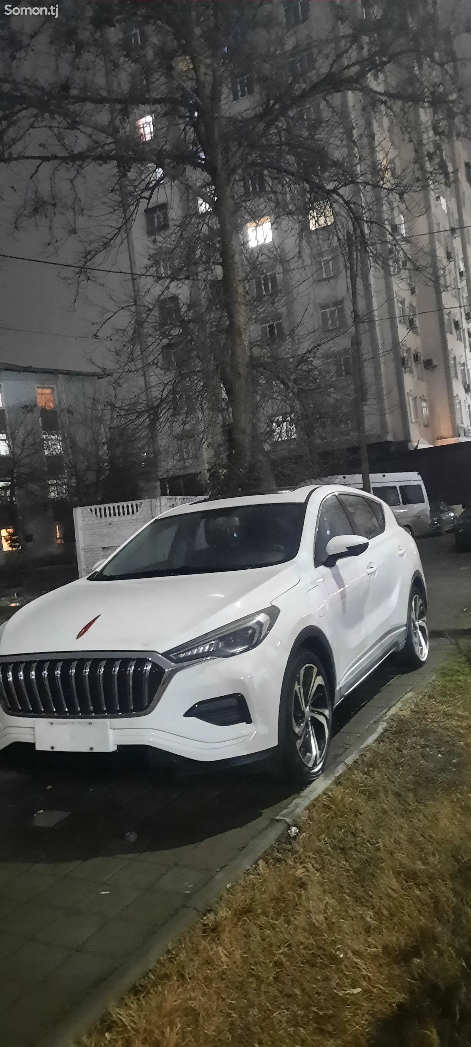 Hongqi HS3, 2019-1