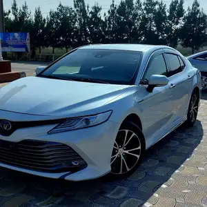 Toyota Camry, 2019