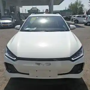 BYD E2, 2024