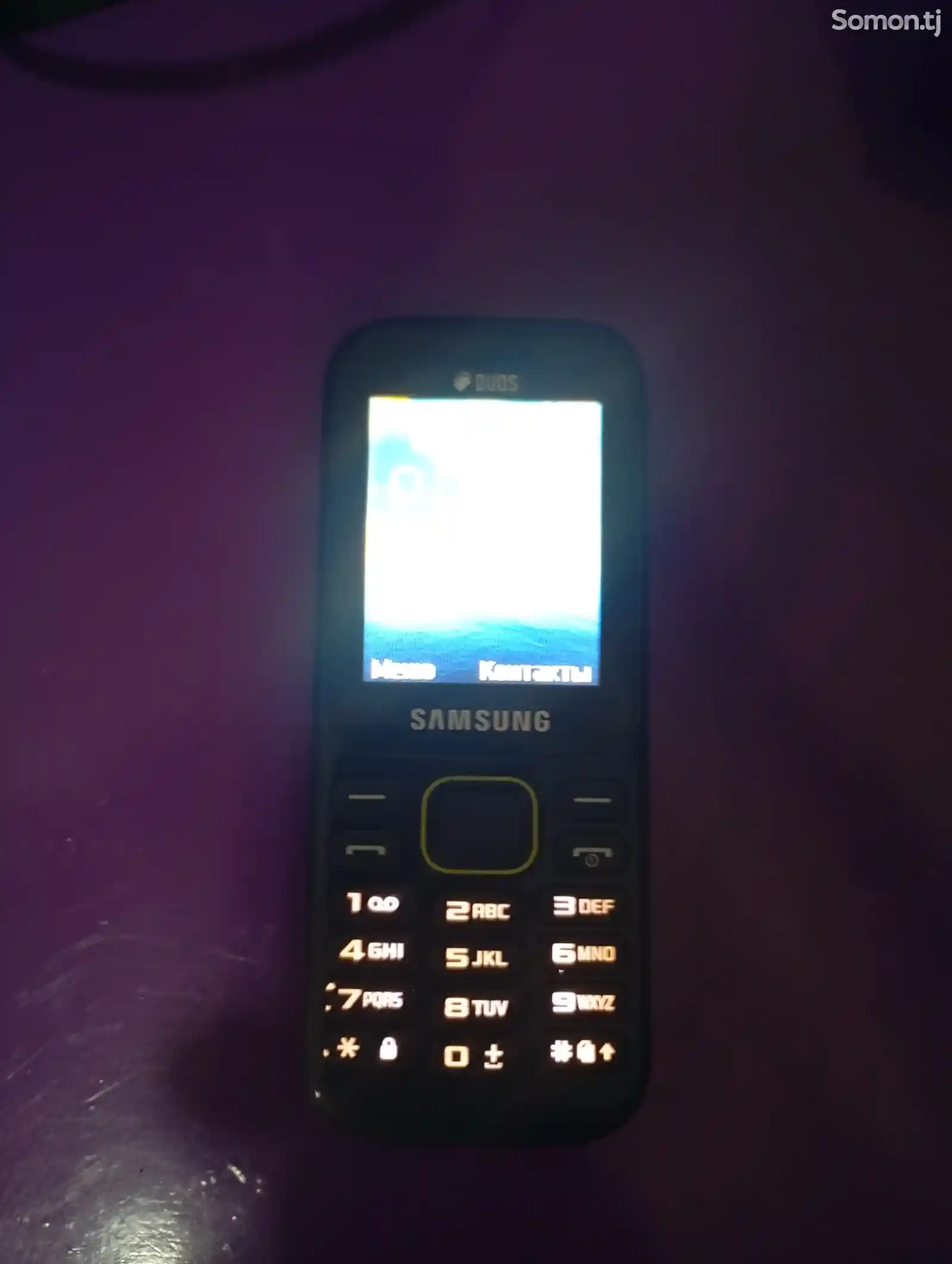 Samsung B310-2