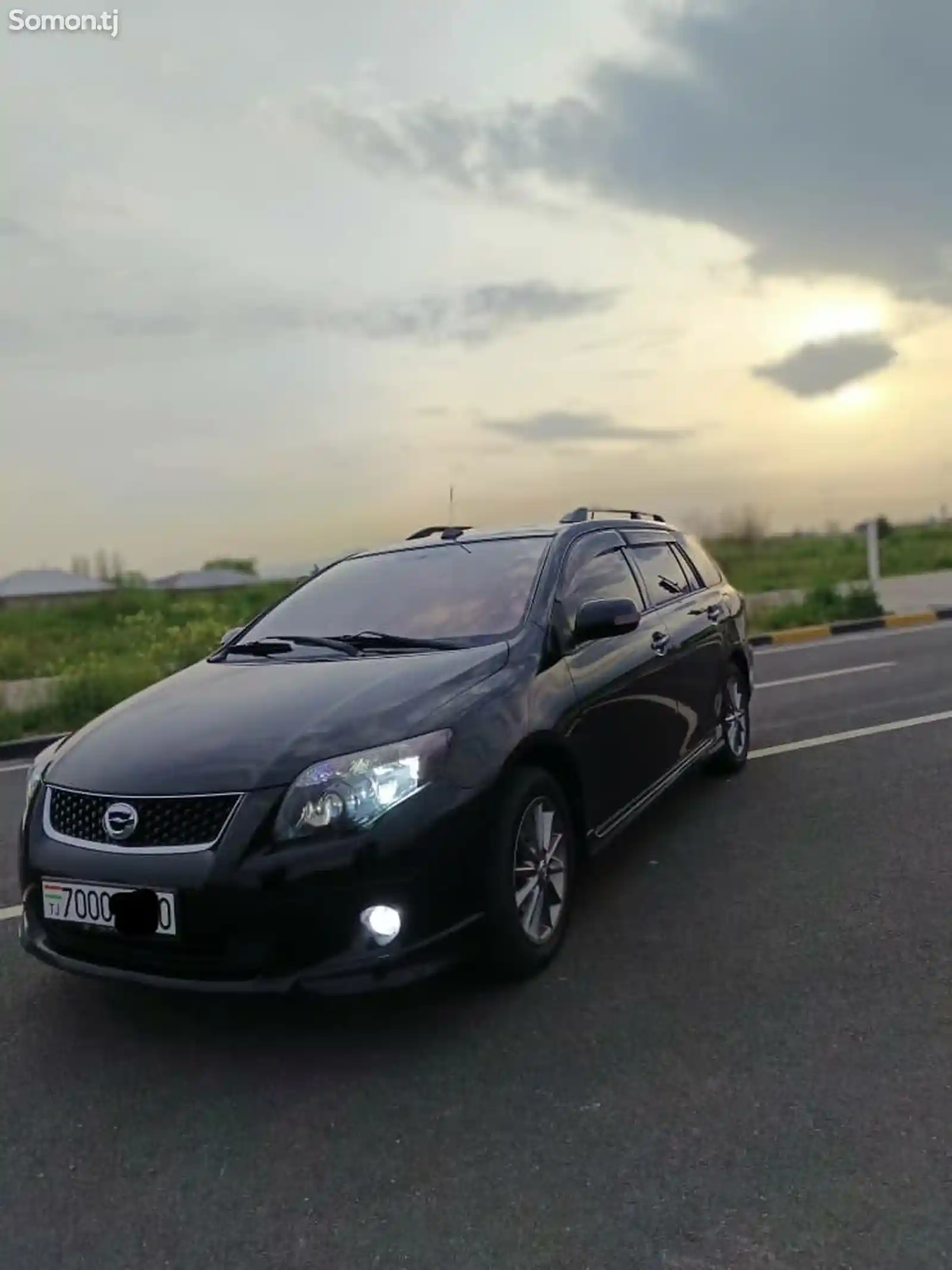 Toyota Fielder, 2010-3