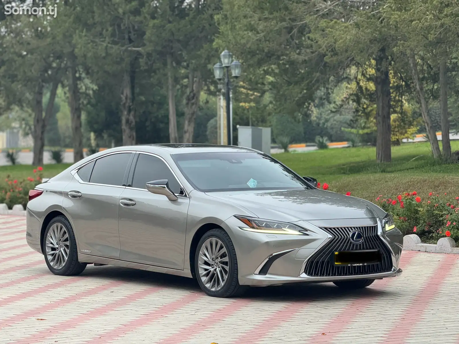 Lexus ES series, 2020-2