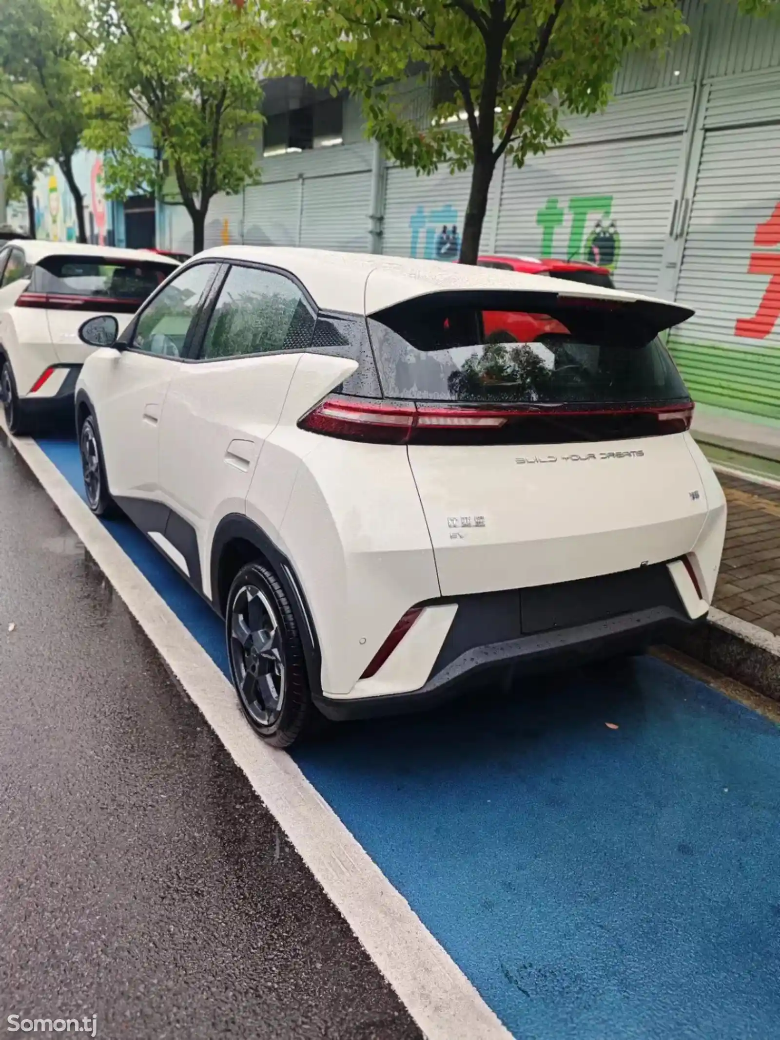 BYD Другие модели, 2024-8