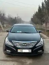 Hyundai Sonata, 2010-6