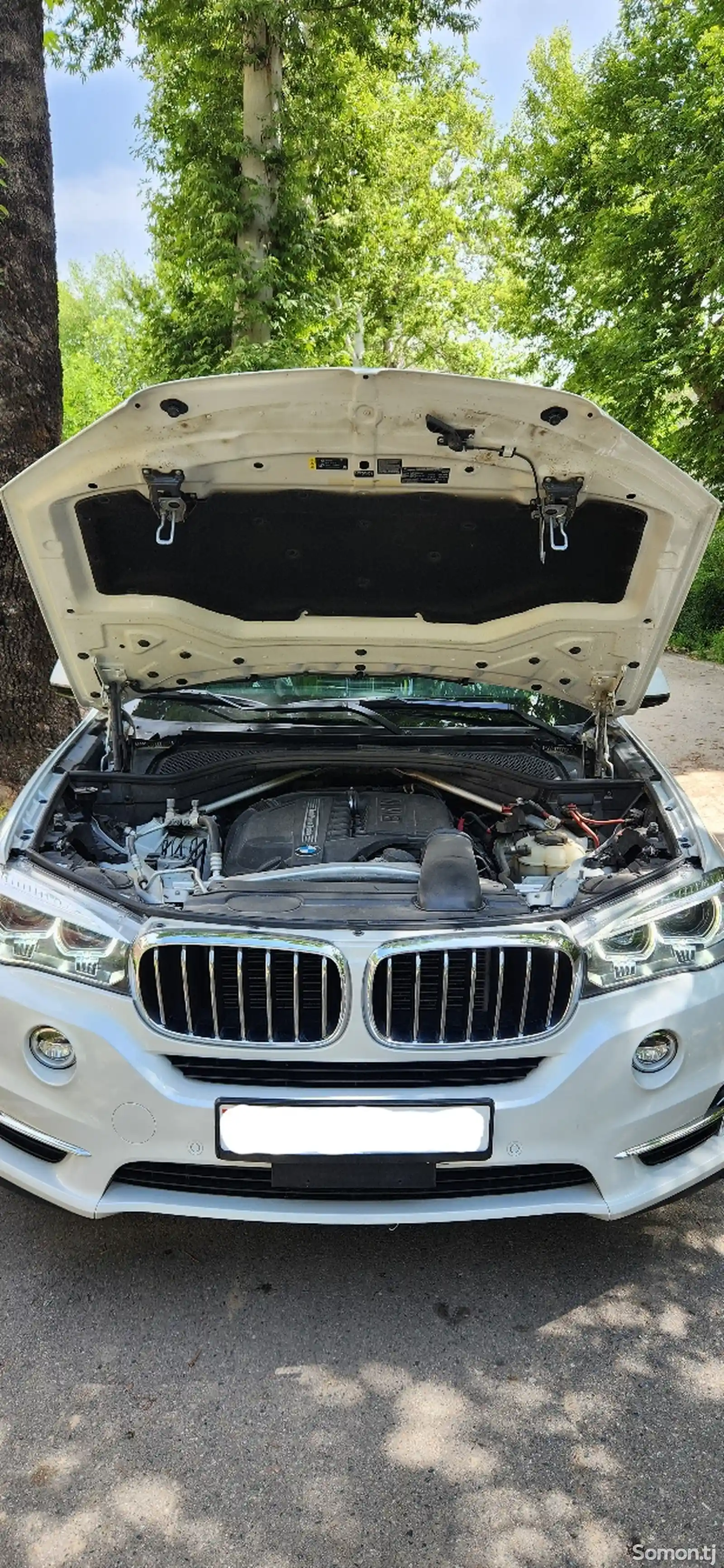 BMW X5, 2018-10