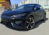 BYD Другие модели, 2024-2