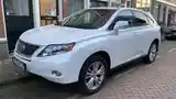 Lexus RX series, 2010-6