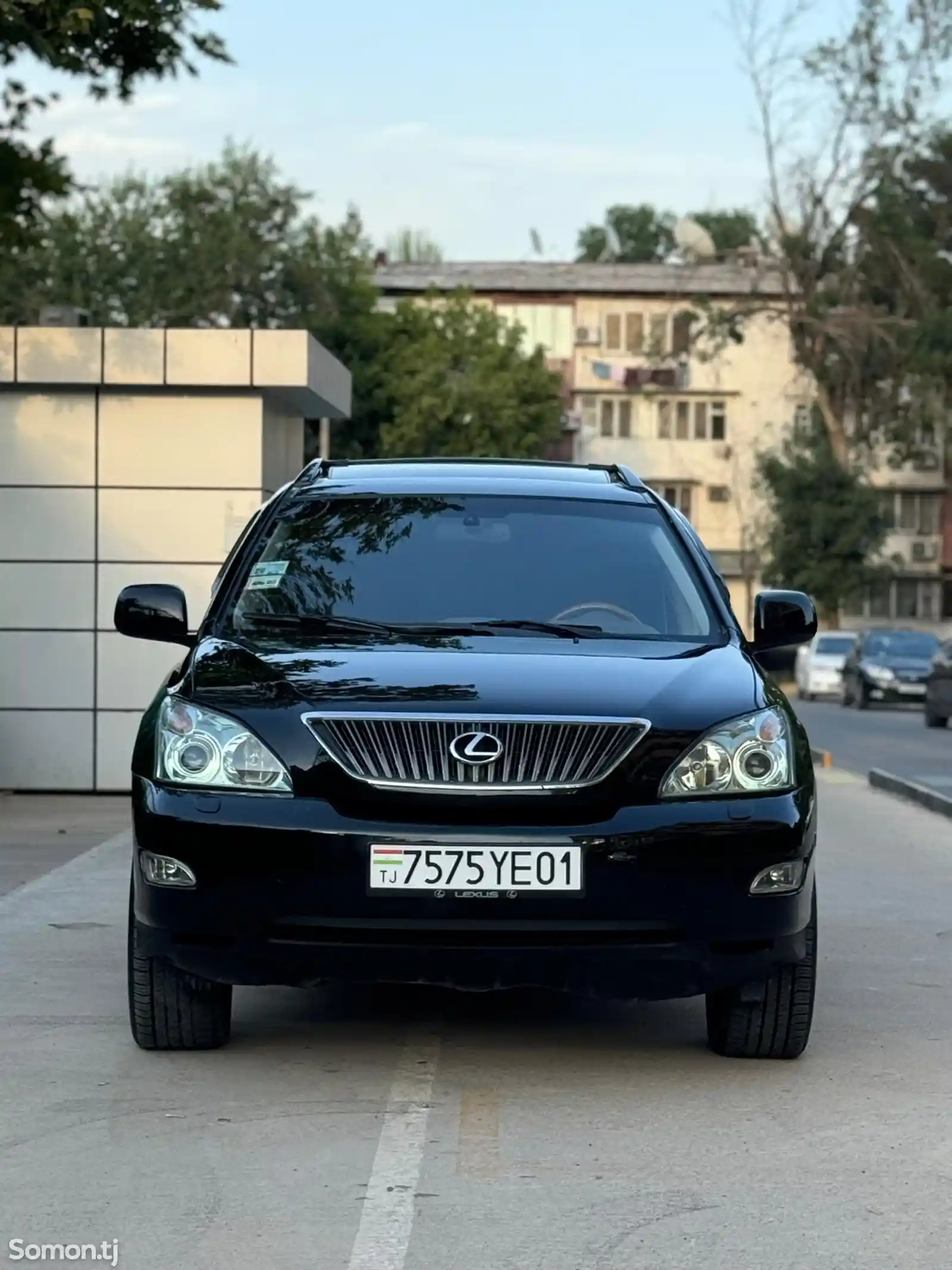 Lexus RX series, 2006-3