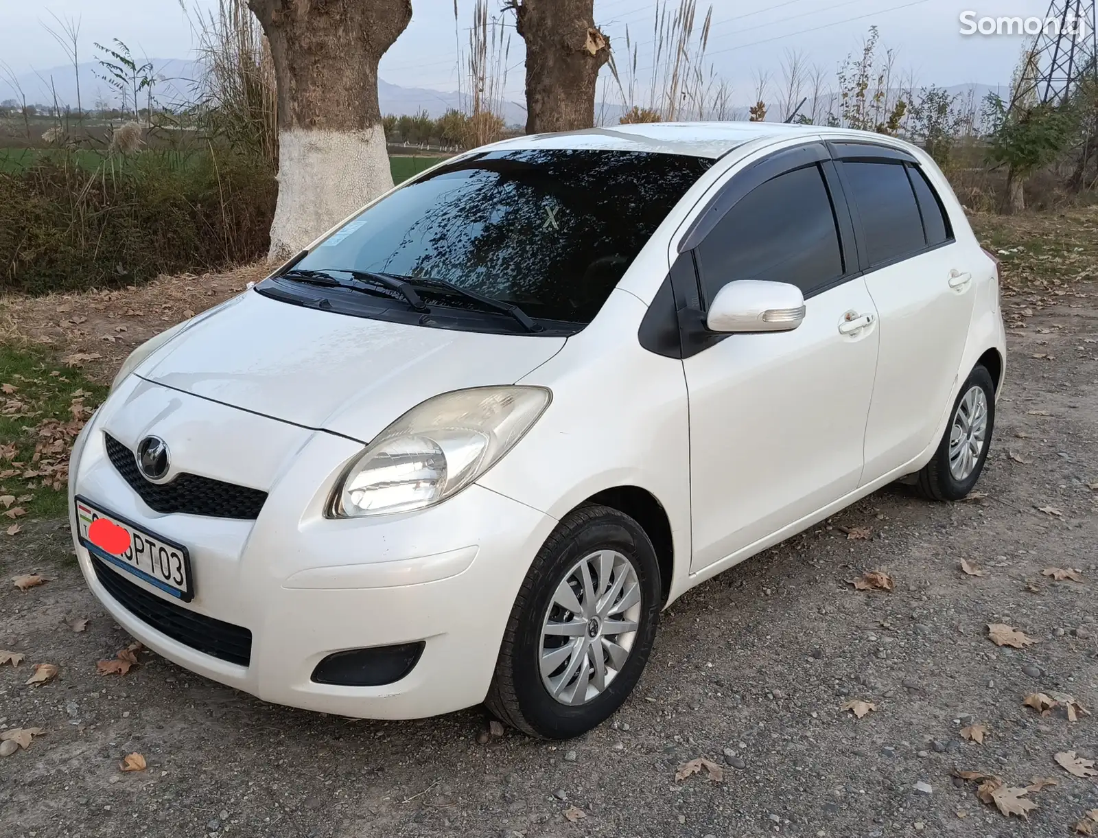 Toyota Vitz, 2010-1