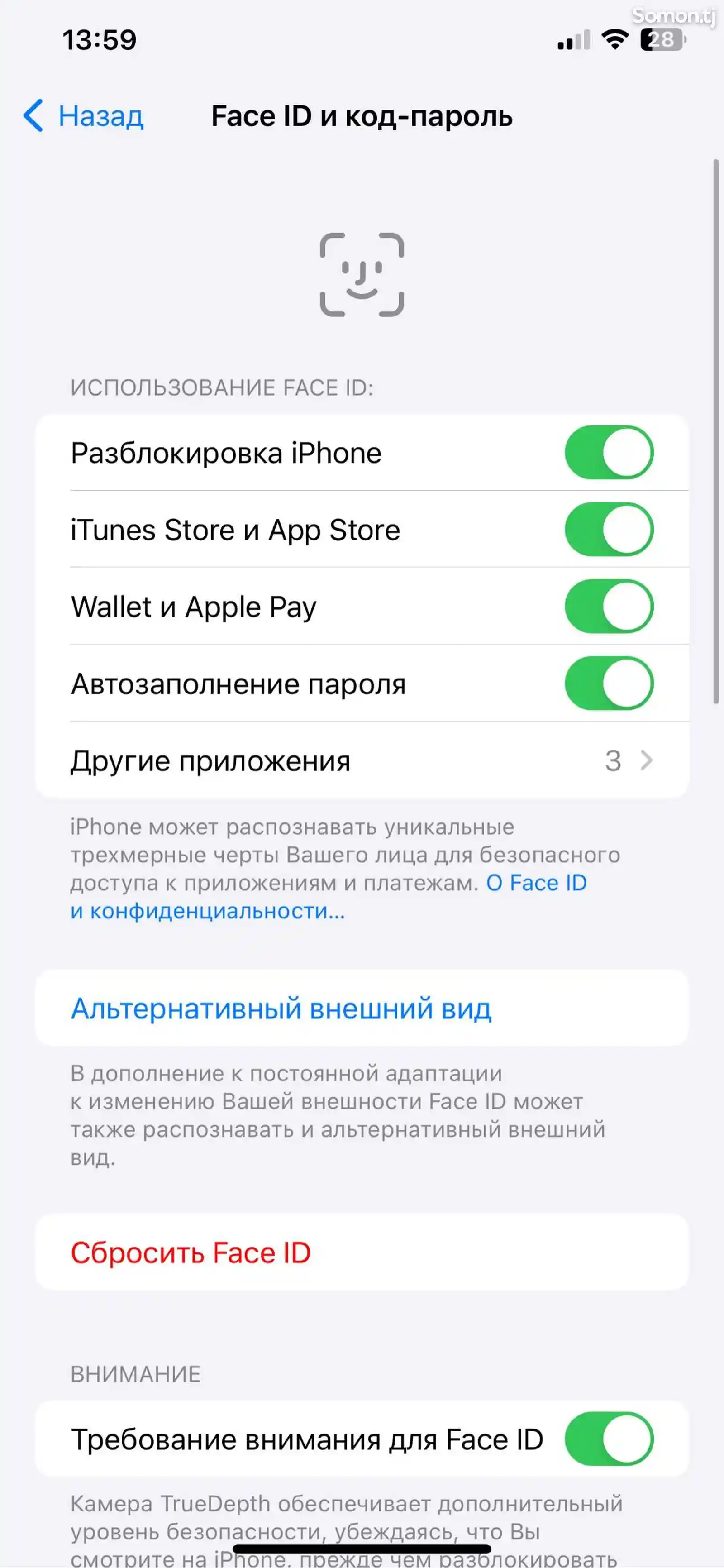 Apple iPhone Xs Max, 256 gb, Silver-10