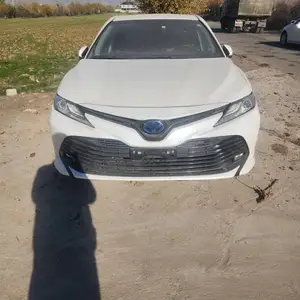 Toyota Camry, 2019