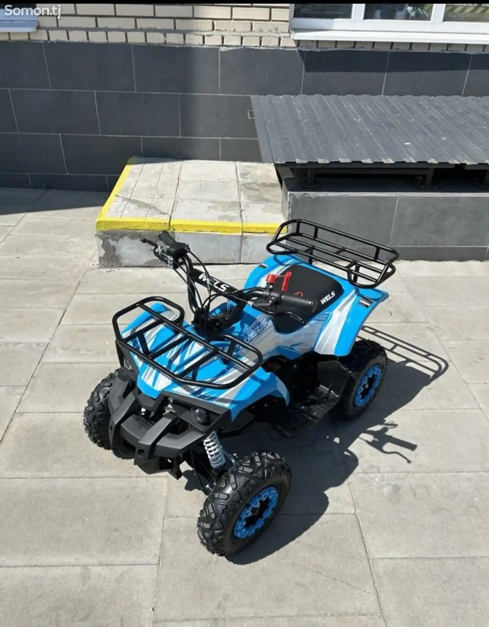 Детский квадроцикл ATV wels Thunder mini 2T под за-5