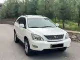 Lexus RX series, 2007-2