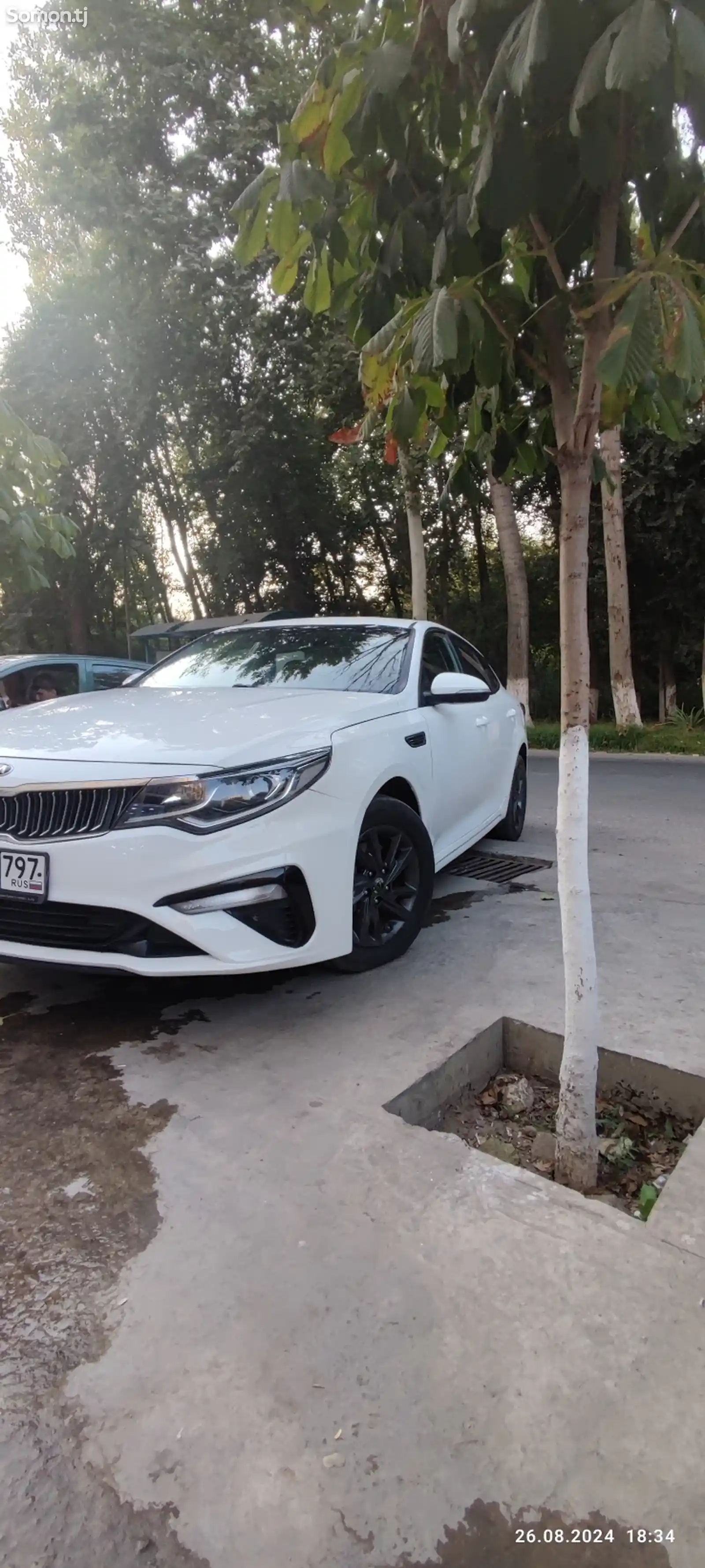 Kia Optima, 2019-1