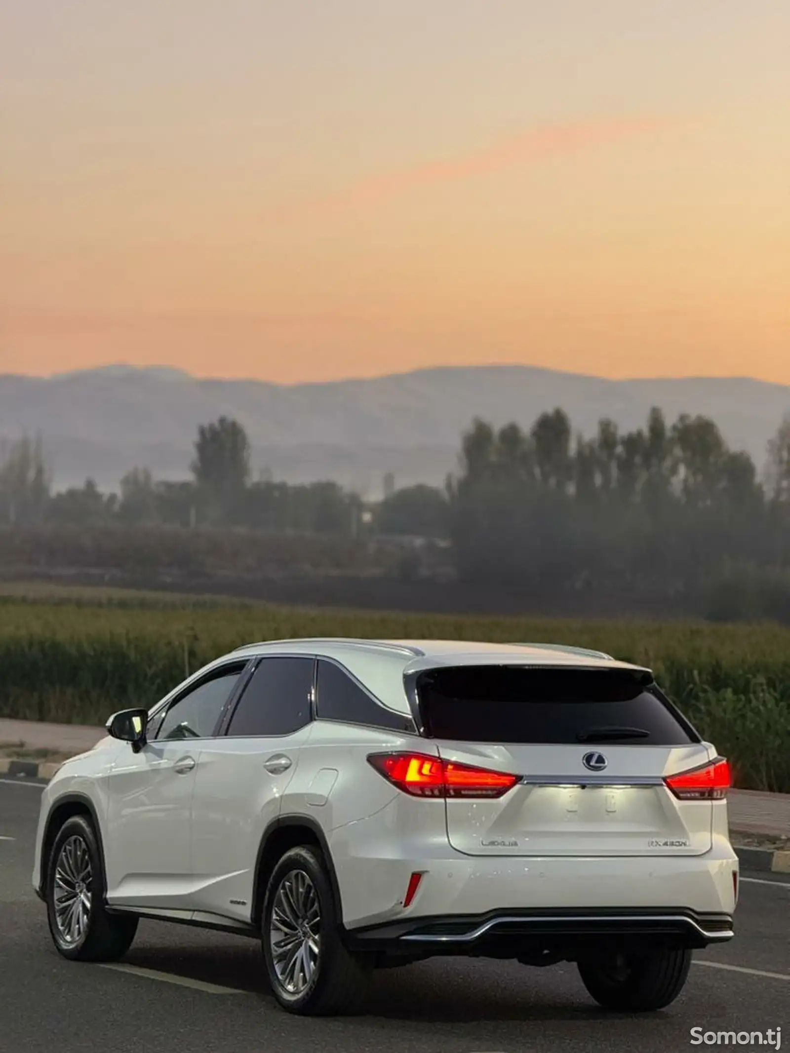 Lexus RX series, 2021-3