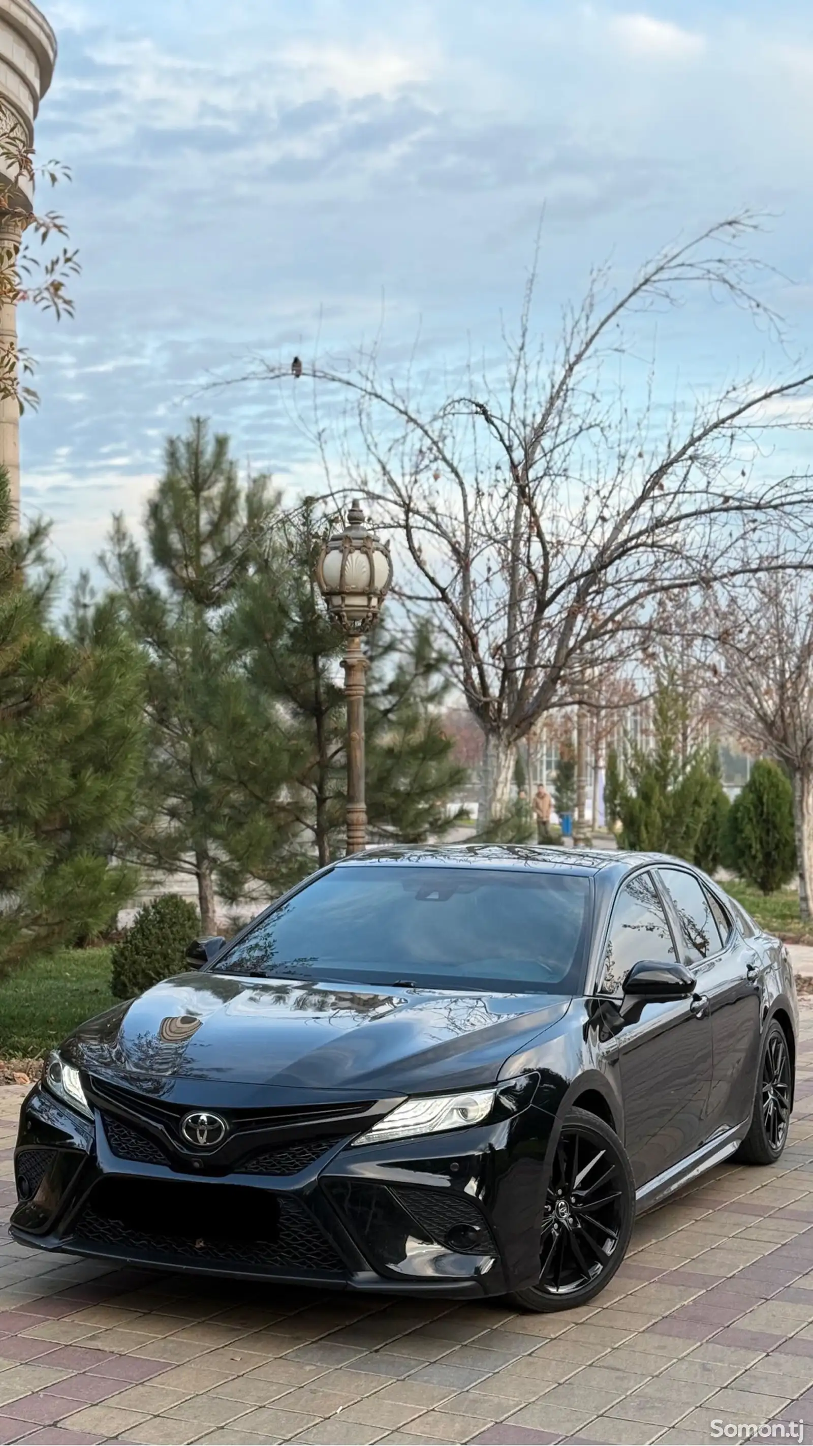 Toyota Camry, 2019-1