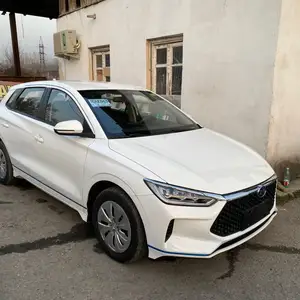 BYD E2, 2019