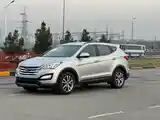 Hyundai Santa Fe, 2014-4