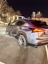 Lexus NX series, 2019-2