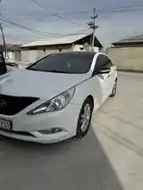 Hyundai Sonata, 2010-6