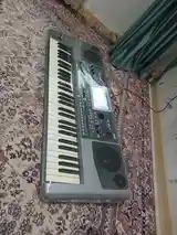 Синтезатор Korg Pa 900-4