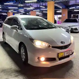 Лобовое стекло на Toyota Wish