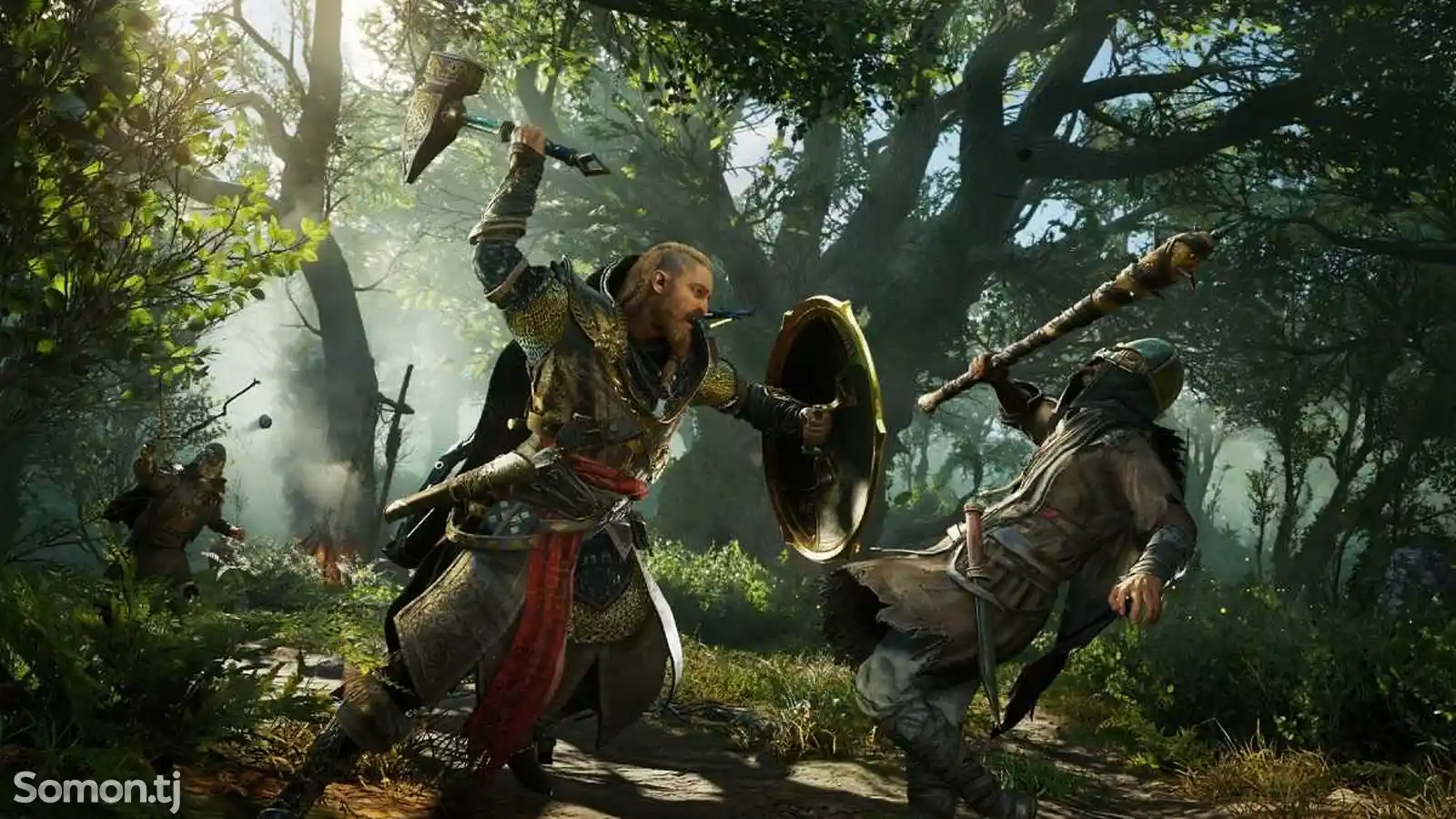 Игра Assassin's Creed Вальгалла для Sony PS5-4