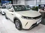 BYD Yuan Up, 2024-3