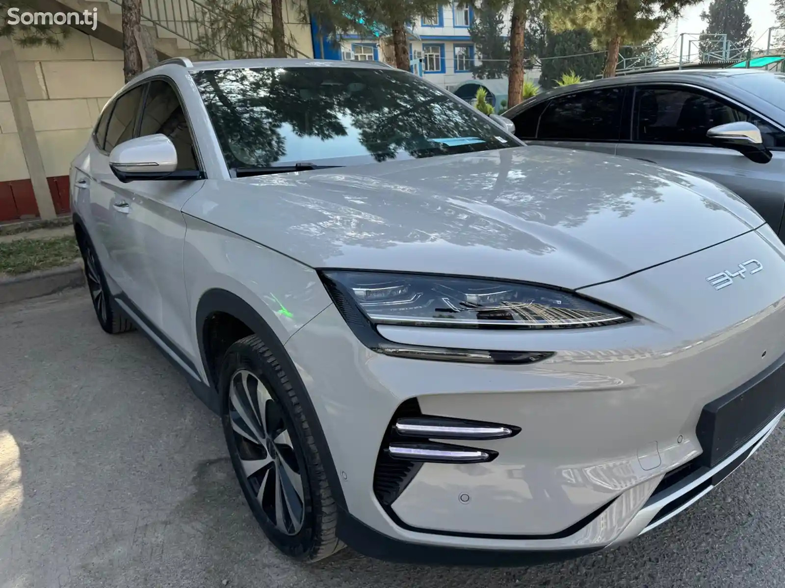 BYD Song Plus Flagship, 2024-1