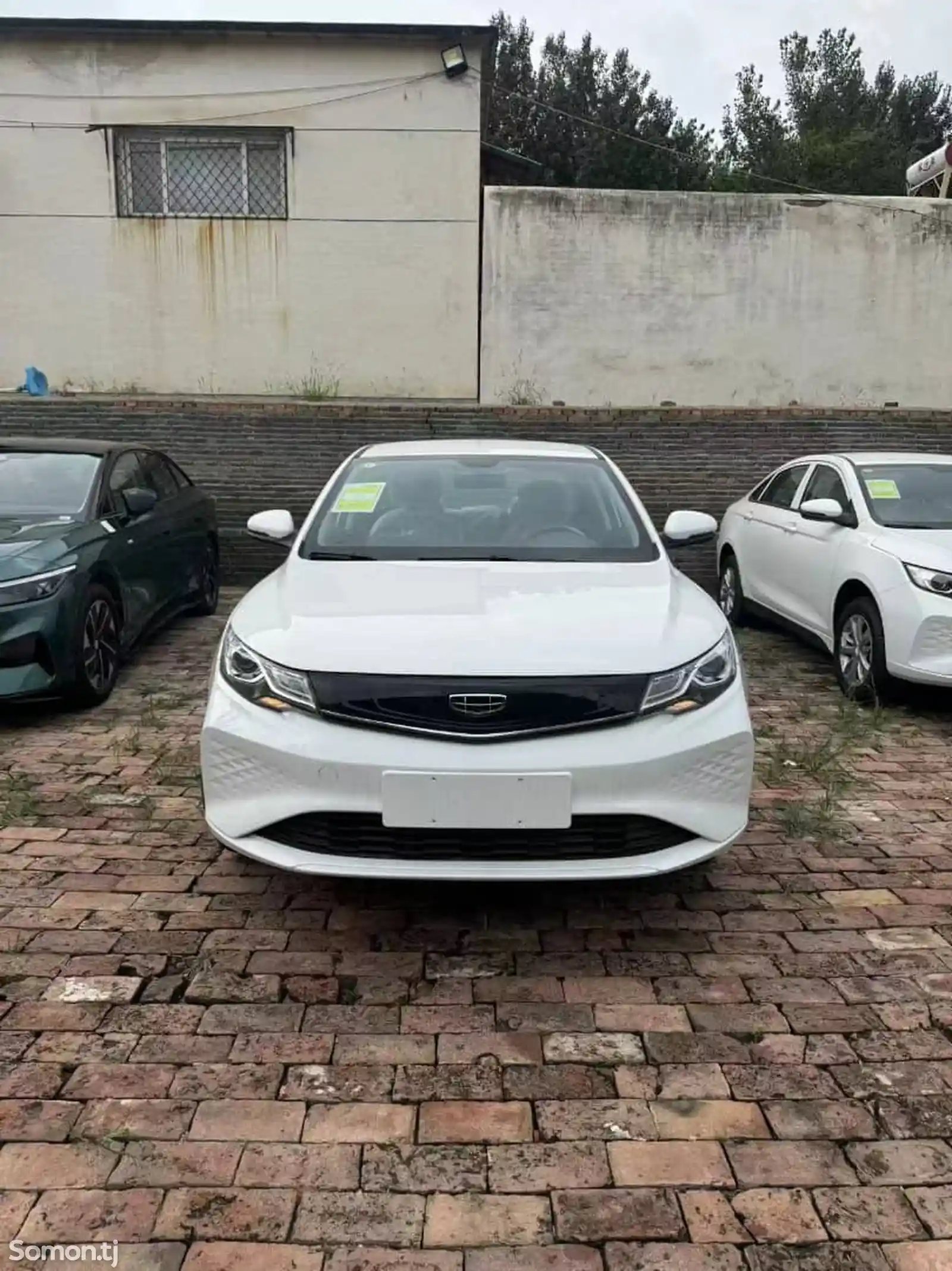 BYD E2, 2024-2