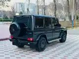 Mercedes-Benz G class, 2017-6