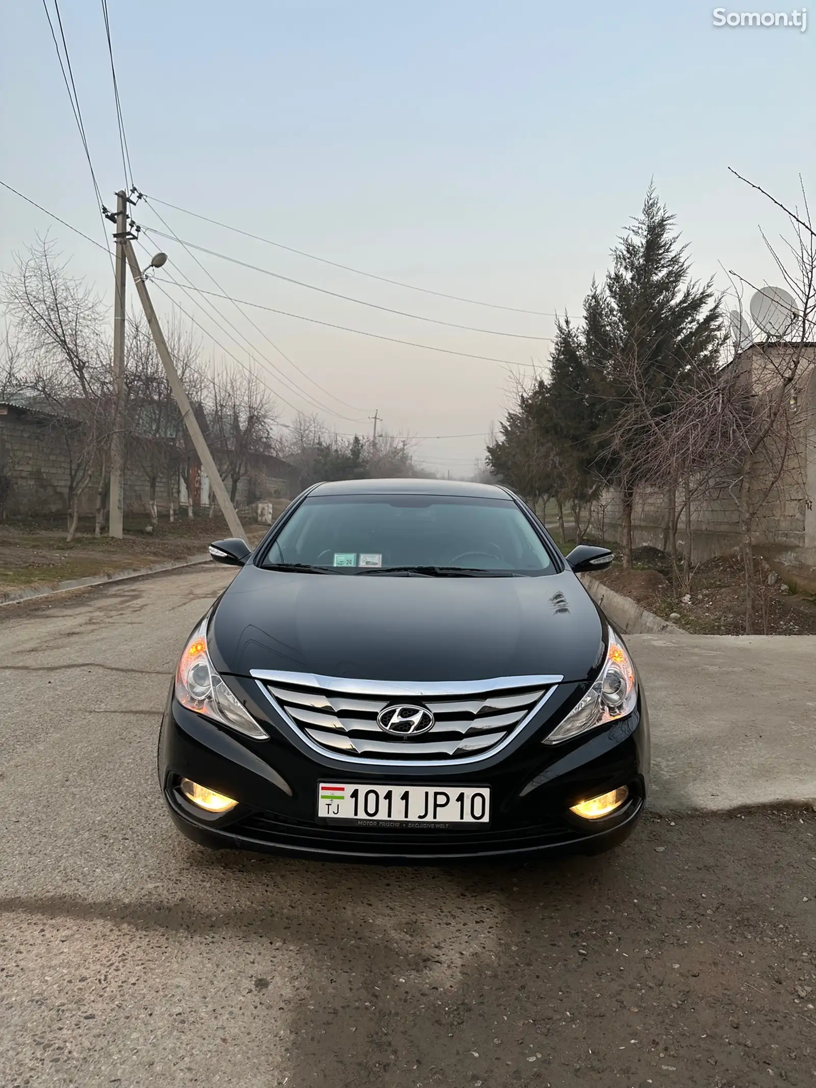 Hyundai Sonata, 2010-1