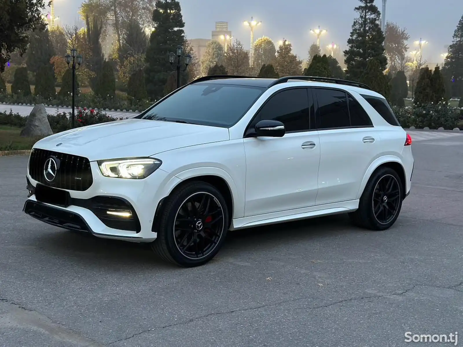 Mercedes-Benz GLE class, 2020-1