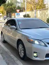 Toyota Camry, 2010-3