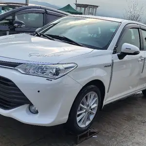 Toyota Axio, 2015