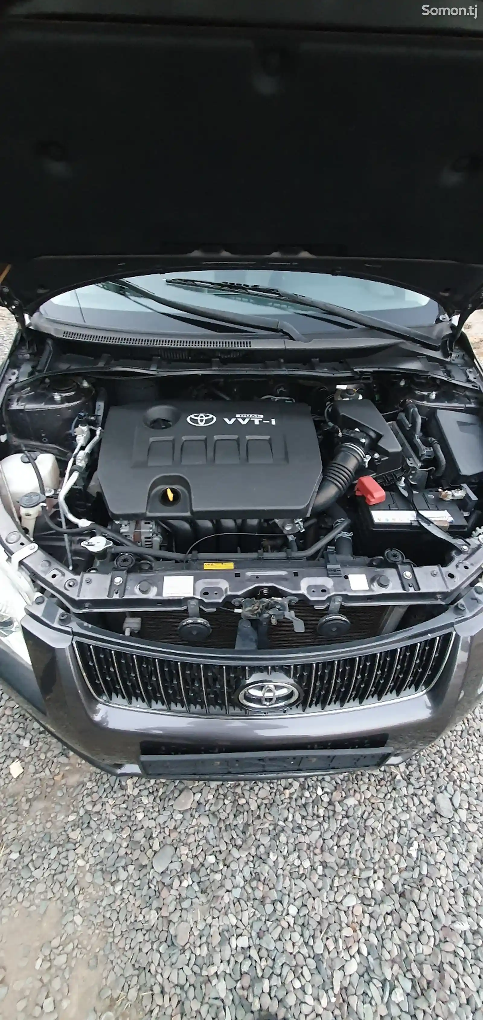 Toyota Axio, 2008-12