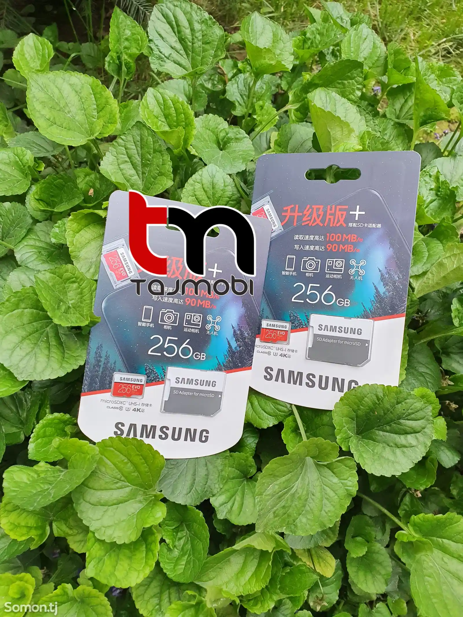 Флешка MicroSD Samsung EVO Plus 256Gb-1