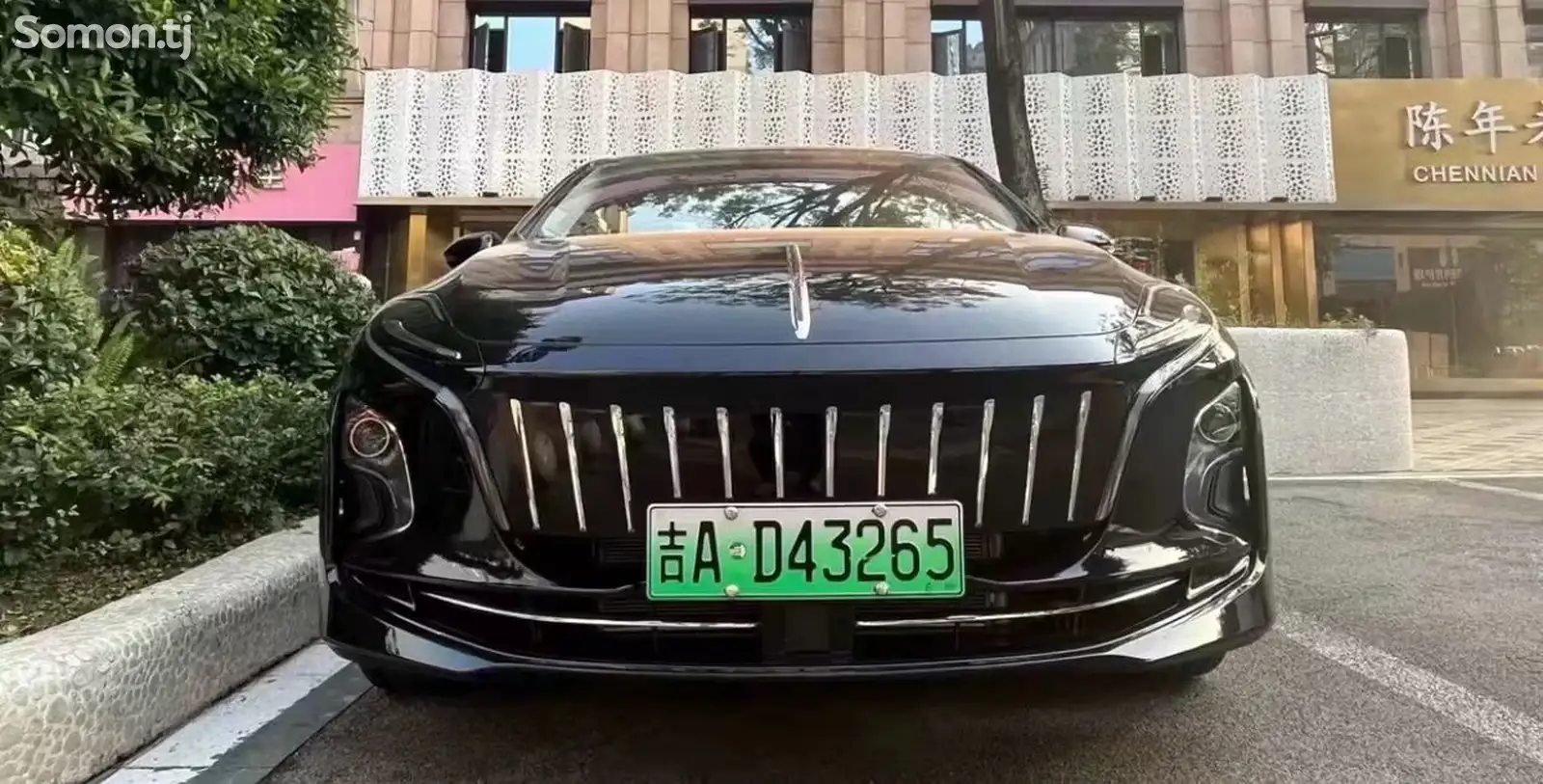 Hongqi E-QM5, 2021-1