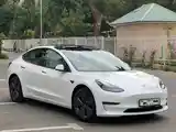 Tesla Model 3, 2023-3