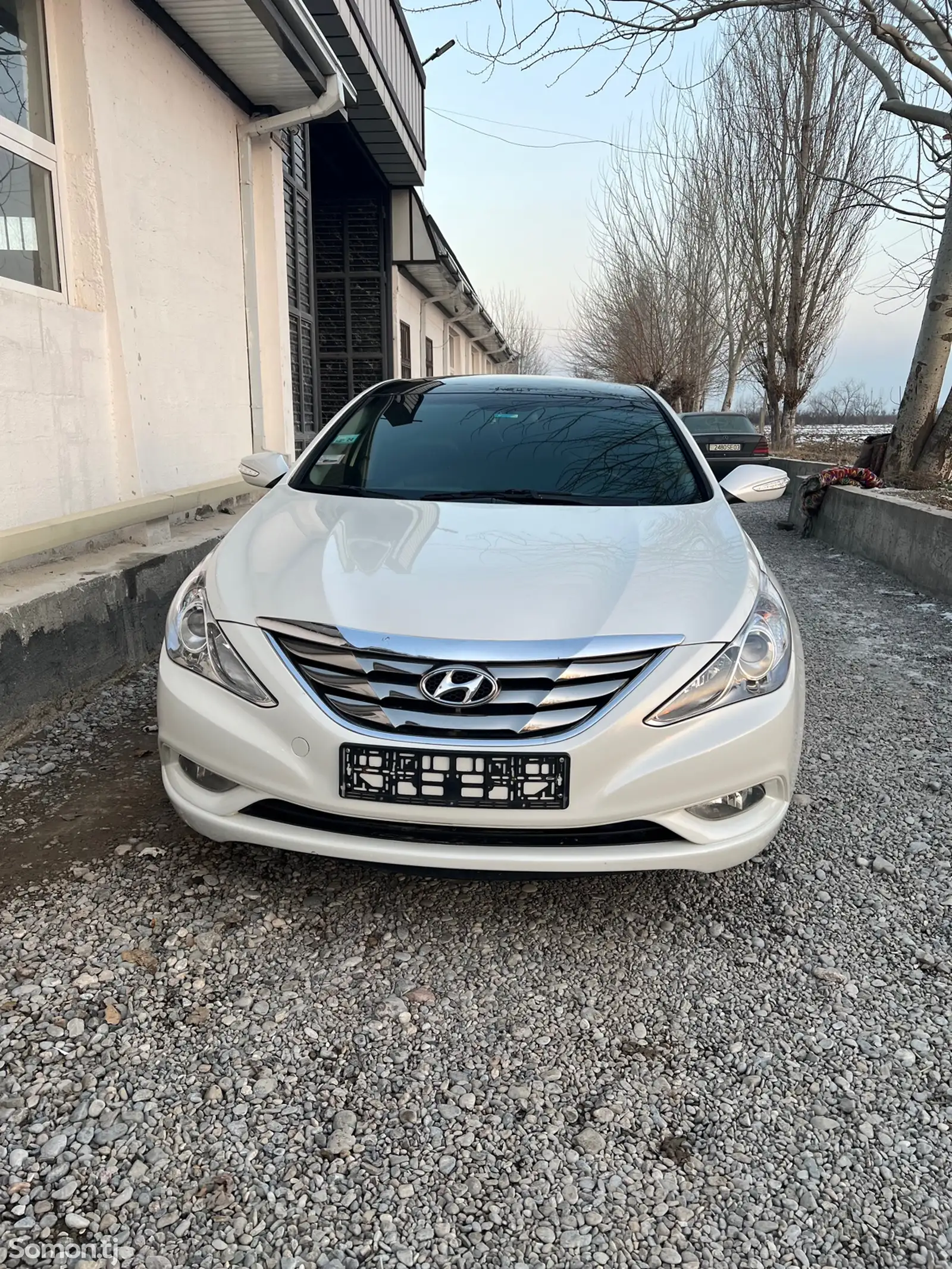 Hyundai Sonata, 2010-1